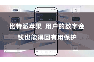 比特派苹果  用户的数字金钱也能得回有用保护