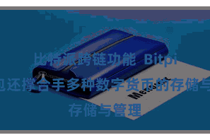 比特派跨链功能  Bitpie钱包还撑合手多种数字货币的存储与管理