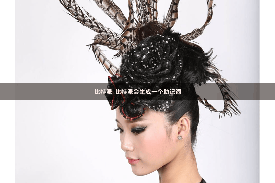 比特派  比特派会生成一个助记词